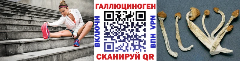 Галлюциногенные грибы GOLDEN TEACHER  Ясногорск 